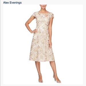 Alex Evenings Size 12 Champagne Sequins and Soutache Illusions Dress - NWT